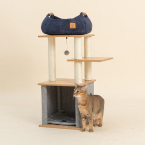 Công ty TNHH Thương mại Golden Sweets Việt Nam