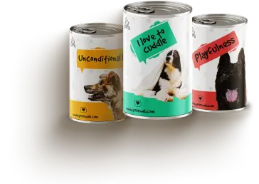 Công ty TNHH Thương mại Golden Sweets Việt Nam