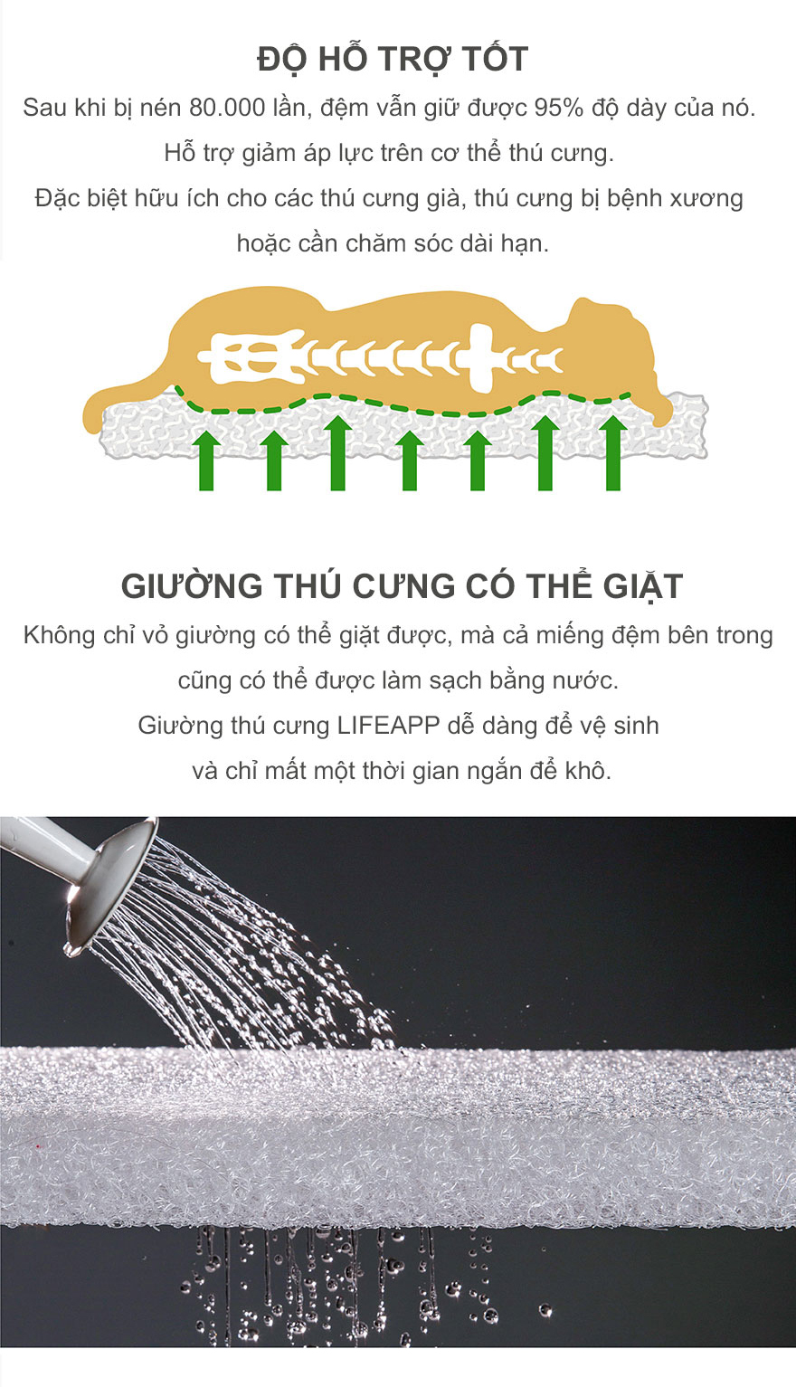 Công ty TNHH Thương mại Golden Sweets Việt Nam