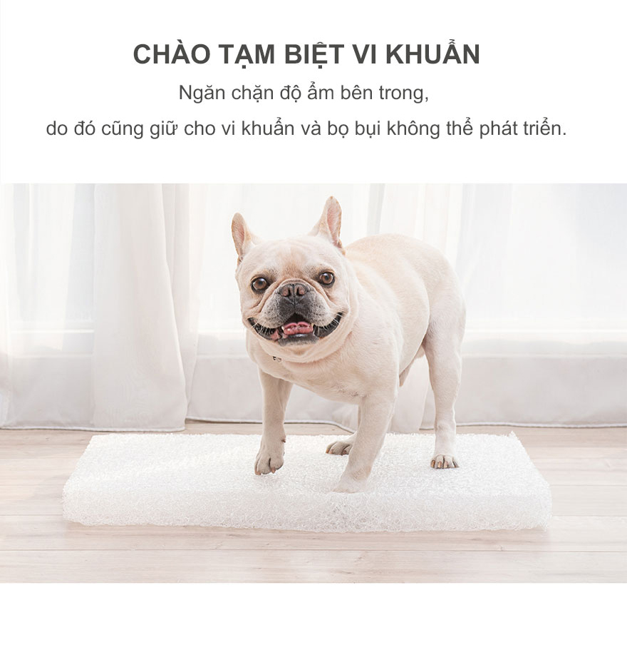 Công ty TNHH Thương mại Golden Sweets Việt Nam