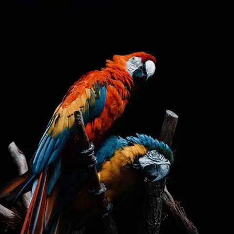 Công ty TNHH Thương mại Golden Sweets Việt Nam